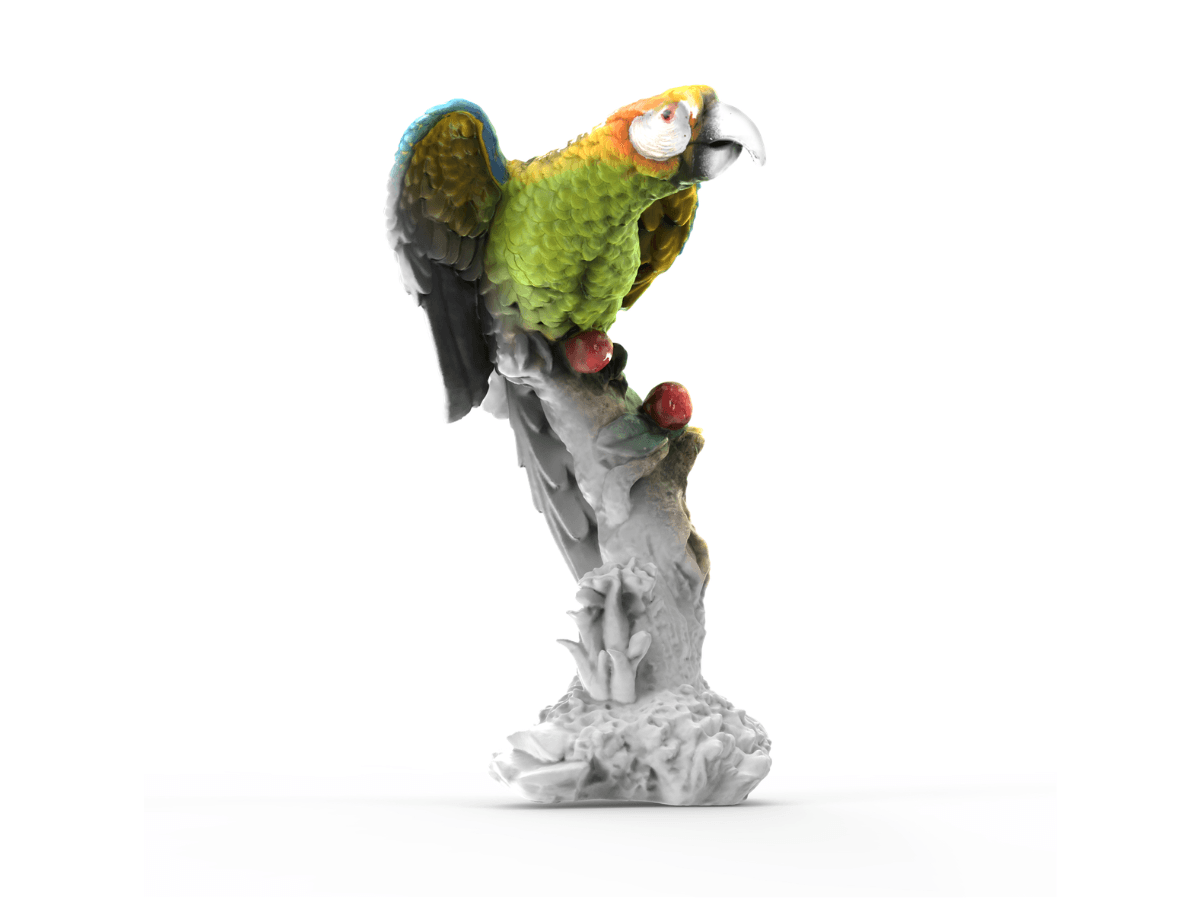 Vibrant parrot 3D scan by 3DMakerpro Turtle: refined detail via its upgraded 2.3MP sensor and 0.07mm high resolution.