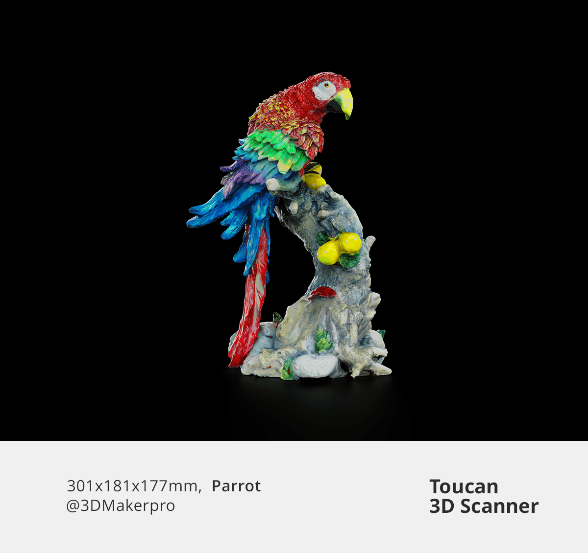 Detailed color 3D scan of a parrot model captured by Toucan 3D scanner.