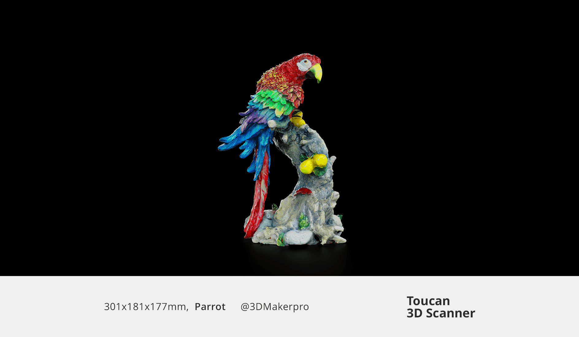 Detailed color 3D scan of a parrot model captured by Toucan 3D scanner.