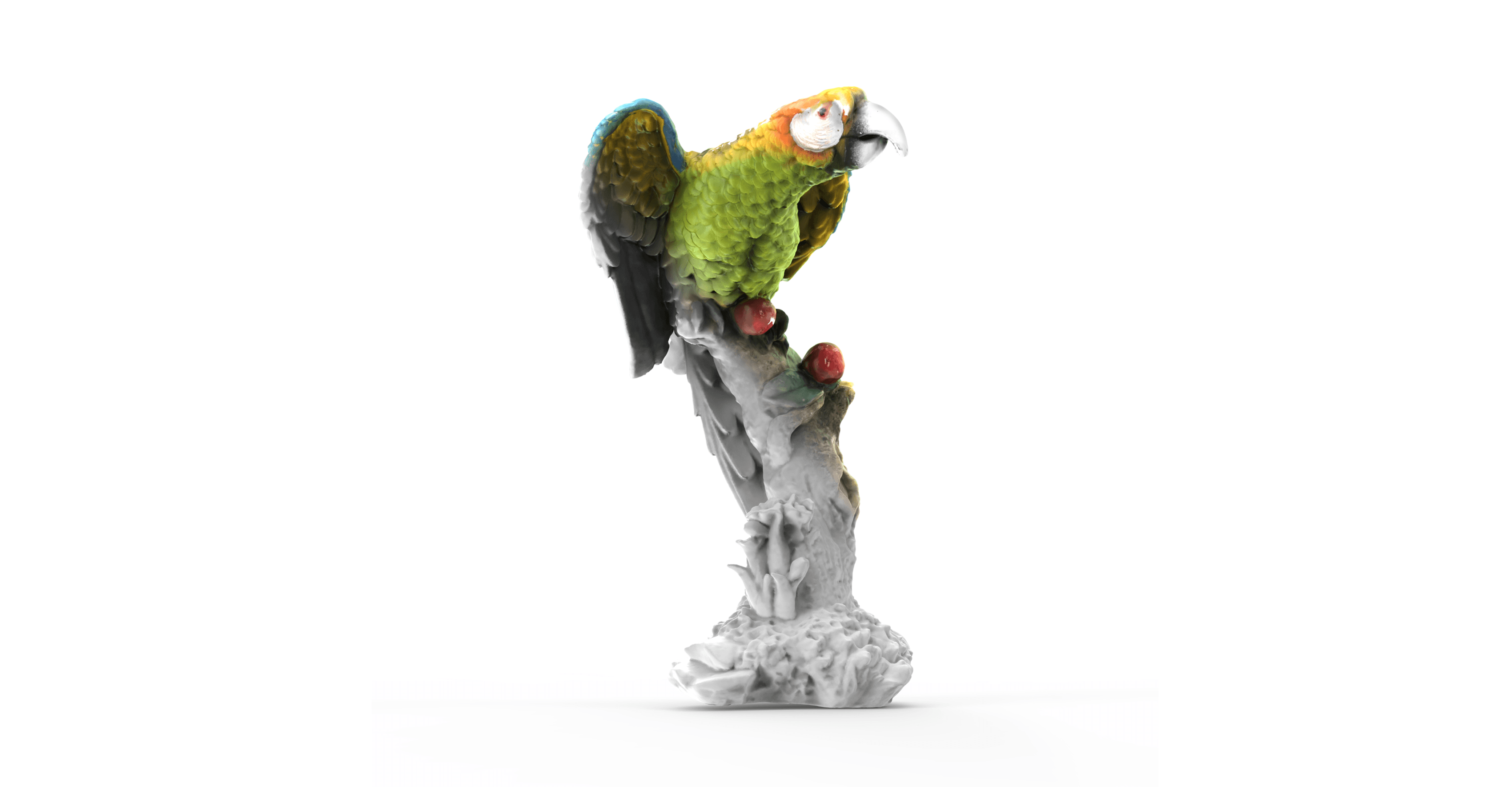 Vibrant parrot 3D scan by 3DMakerpro Turtle: refined detail via its upgraded 2.3MP sensor and 0.07mm high resolution.